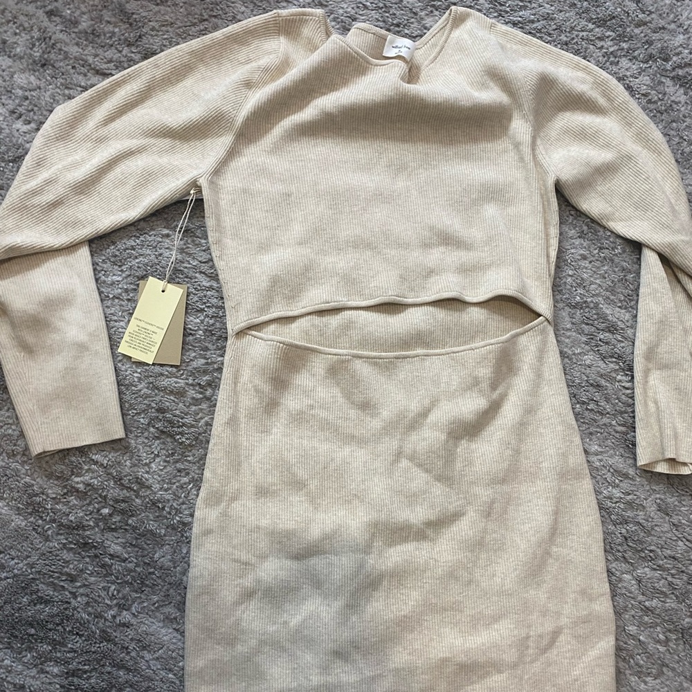 Aritzia dress